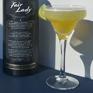 An image of the Fair Lady cocktail submitted by Toby that contains London Dry Gin, Orange, Lime, Egg, Crème de Fraise, Strawberries and Lime