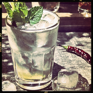 An image of the Julep en Fuego cocktail submitted by Toby that contains Bourbon, Smith & Cross, Mint Syrup, Angostura Bitters, Cholula Hot Sauce, Chilli Pepper, Mint and Mint