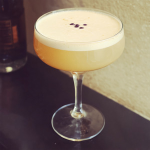 An image of the Roasty Toasty cocktail submitted by Toby that contains Pisco, Lime, Sugar, Roasted Walnut Oil, Egg and Xocolatl Mole Bitters