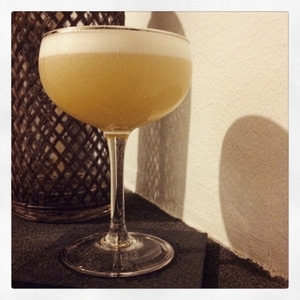 An image of the Elk's Own cocktail submitted by Toby that contains Canadian Whiskey, Port, Lemon, Simple Syrup and Egg