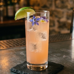 An image of the Floradora cocktail submitted by Toby that contains London Dry Gin, Lime, Crème de Framboise, Ginger Ale, Lime and Edible Flower