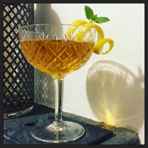 An image of the Napoleon cocktail submitted by Toby that contains London Dry Gin, Fernet Branca, Curaçao Triple Sec, Dubonnet Rouge and Lemon