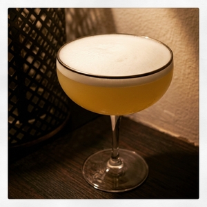 An image of the Show Boat cocktail submitted by Toby that contains London Dry Gin, Orange, Lemon, Egg and Grenadine