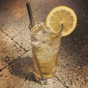An image of the Sloe Gin Fizz cocktail submitted by Toby that contains Sloe Gin, Lemon, Simple Syrup, Soda Water and Lemon