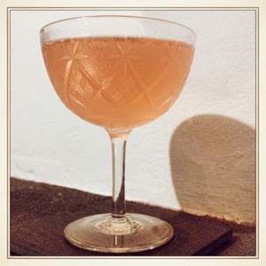 An image of the Tanglin Club cocktail submitted by Toby that contains London Dry Gin, Dry Vermouth, Passion Fruit Syrup, Lime, Angostura Bitters and Orange