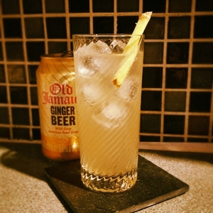 An image of the Tonic Rancheros cocktail submitted by Toby that contains Reposado Tequila, Lime, Agave Nectar and Tonic Water