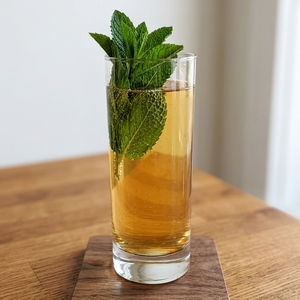 An image of the Whiz Bang Cooler cocktail submitted by Toby that contains London Dry Gin, Ginger Ale, Crème de Menthe and Mint