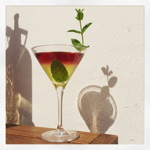 An image of the Zephyr cocktail submitted by Toby that contains London Dry Gin, Lillet Blanc and Green Chartreuse